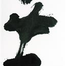 images/galeries/21/vignettes/sd1KC16 .jpg